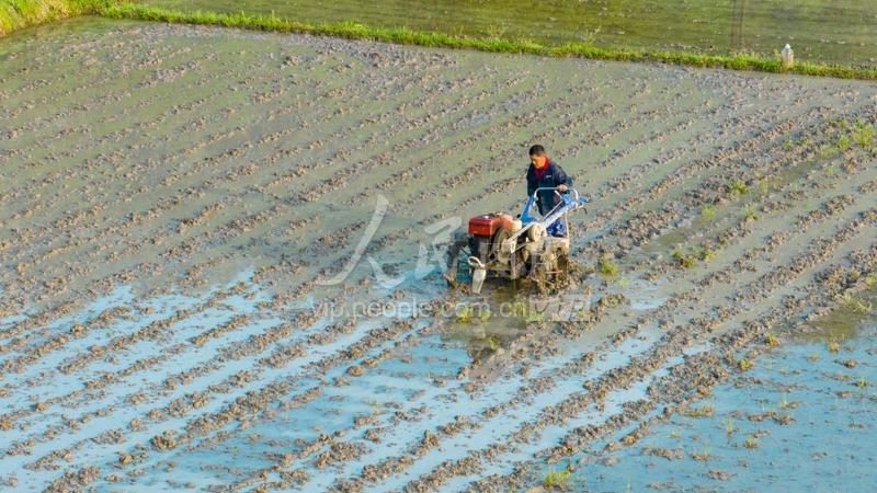 植保无人机租赁与购买：成本与效益的权衡之道