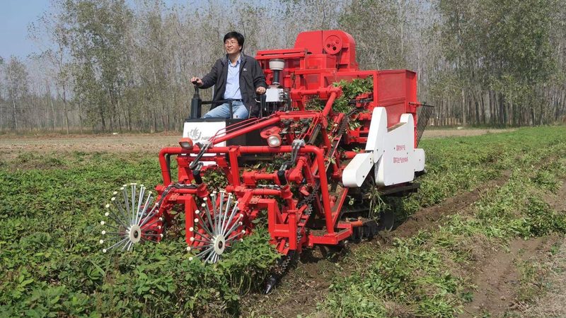 玉米收割机租赁价格地域差异解析**